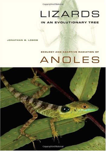 Lizards in an Evolutionary Tree