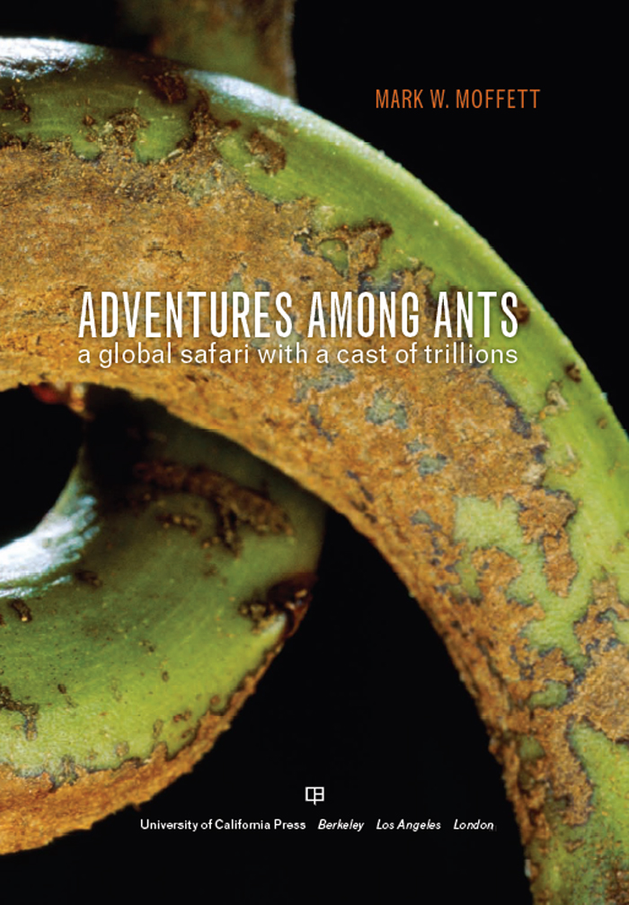 Adventures among Ants