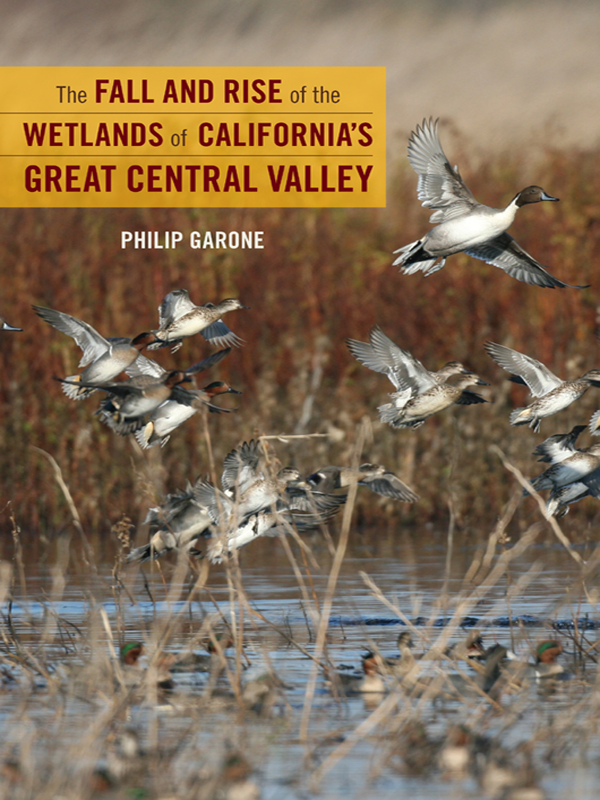 The Fall and Rise of the Wetlands of California's Great Central Valley