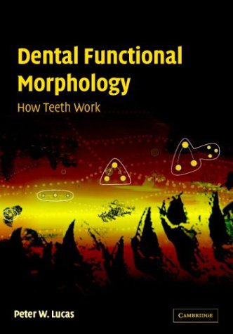 Dental Functional Morphology