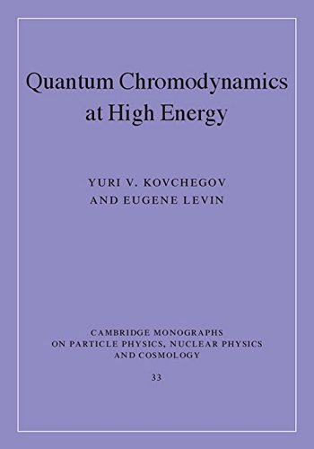 Quantum Chromodynamics at High Energy