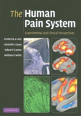 The Human Pain System