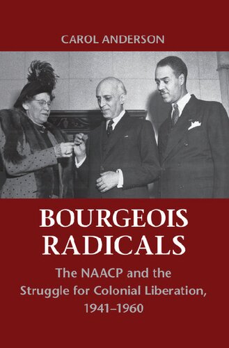 Bourgeois Radicals