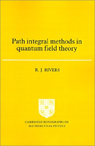 Path Integral Methods in Quantum Field Theory