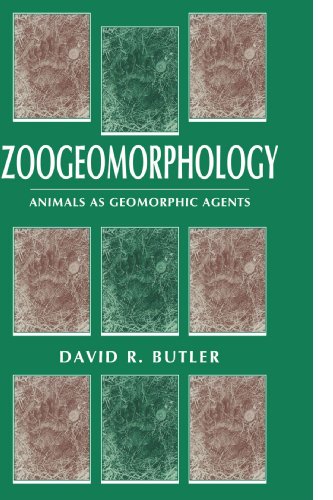 Zoogeomorphology
