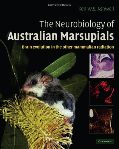 The Neurobiology of Australian Marsupials