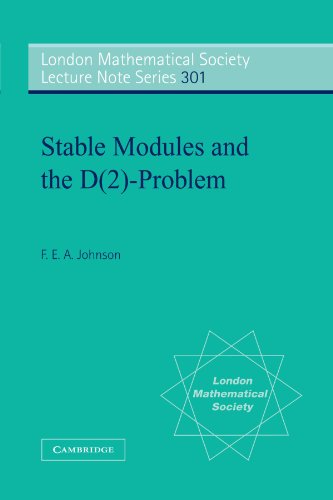 Stable Modules and the D(2)-Problem