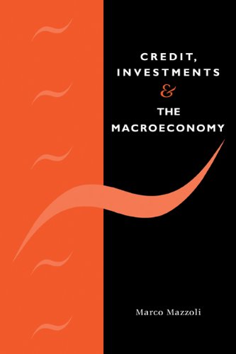 Credit, Investments and the Macroeconomy: A Few Open Issues