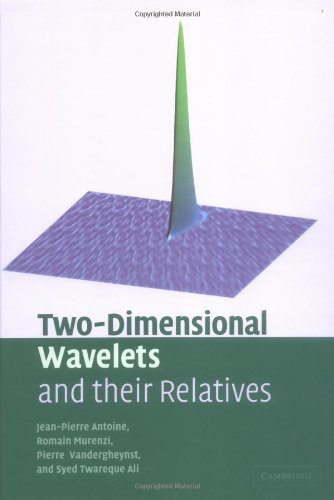 Two-Dimensional Wavelets and Their Relatives