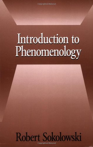 Introduction to Phenomenology