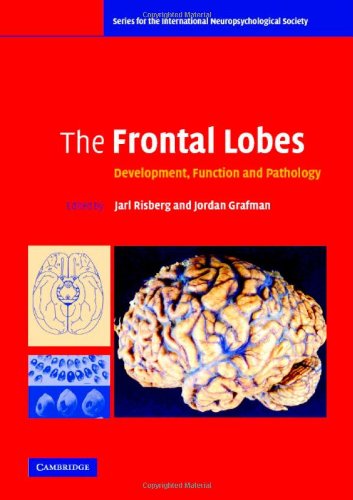 The Frontal Lobes