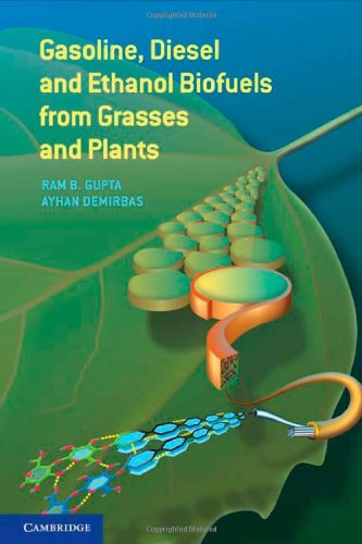 Gasoline, Diesel, and Ethanol Biofuels from Grasses and Plants