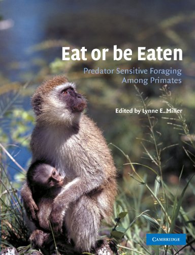 Eat or be Eaten: Predator Sensitive Foraging Among Primates