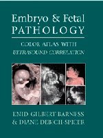 Embryo and Fetal Pathology: Color Atlas with Ultrasound Correlation