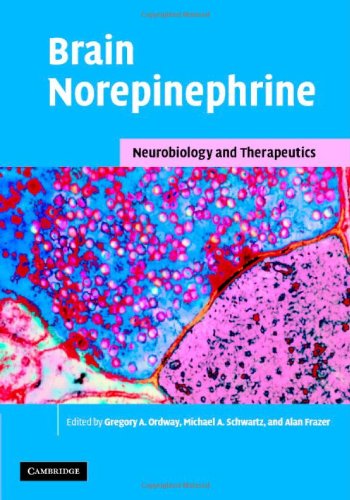 Brain Norepinephrine