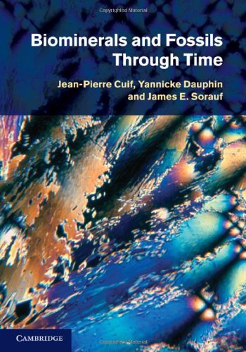 Biominerals and Fossils Through Time