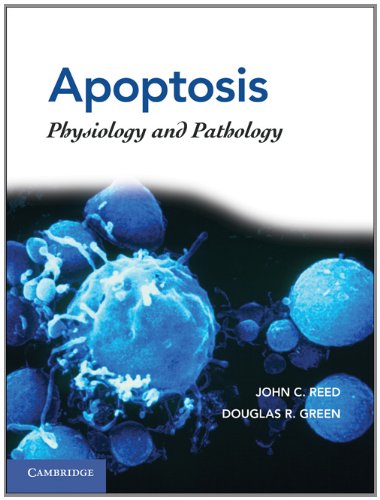 Apoptosis