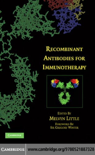 Recombinant Antibodies for Immunotherapy