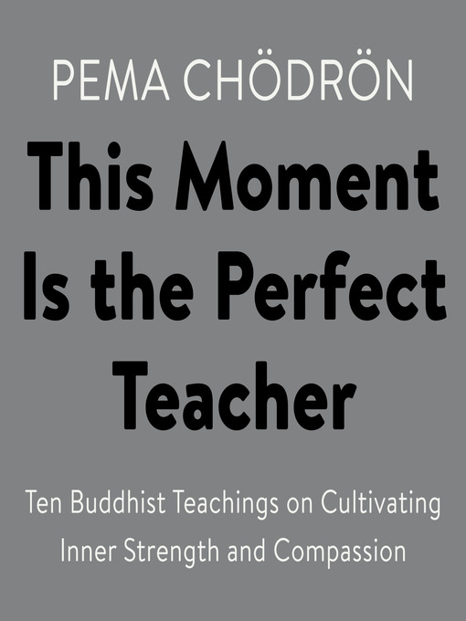 This Moment Is the Perfect Teacher