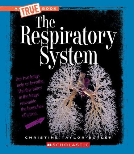 The Respiratory System (A True Book: Health and the Human Body)