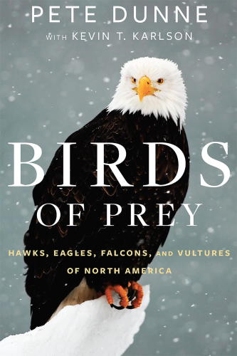 Birds of Prey