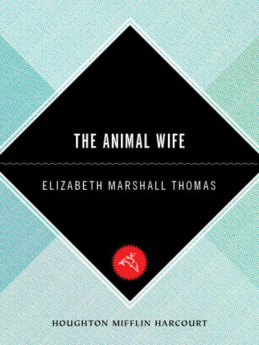 The Animal Wife