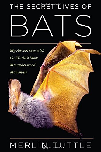 The Secret Lives of Bats