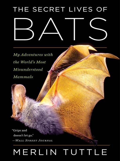 The Secret Lives of Bats