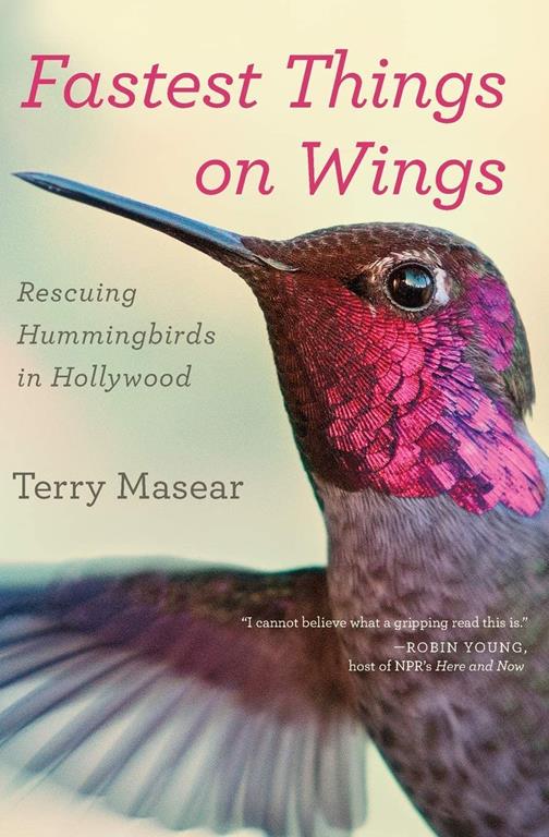 Fastest Things on Wings: Rescuing Hummingbirds in Hollywood