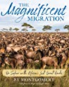 The Magnificent Migration