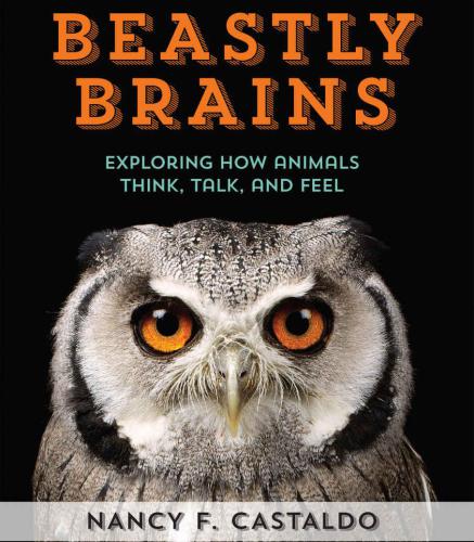 Beastly Brains