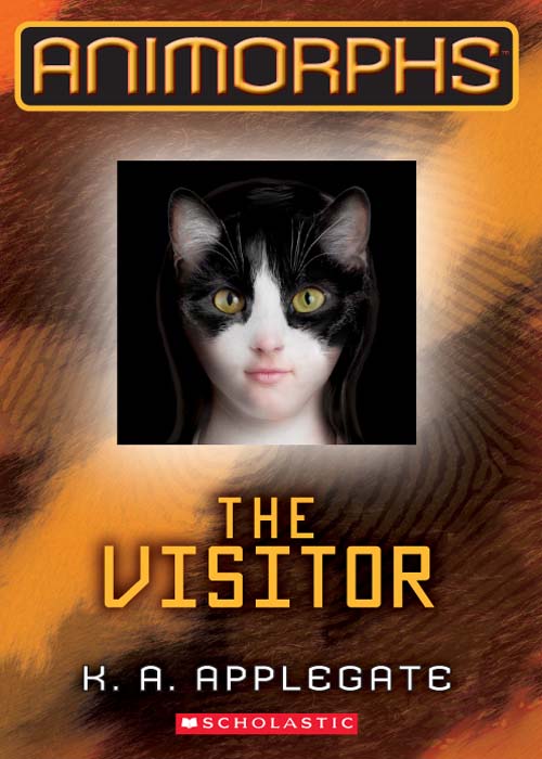 The Visitor