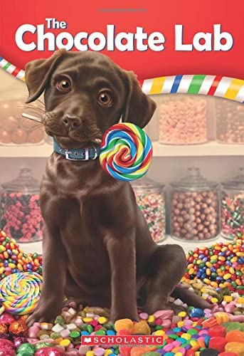 The Chocolate Lab (The Chocolate Lab #1) (1)