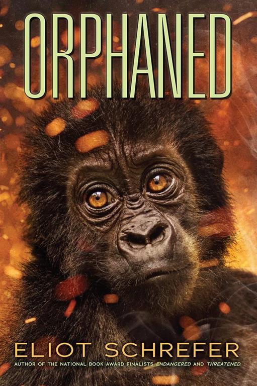 Orphaned (4) (Ape Quartet)