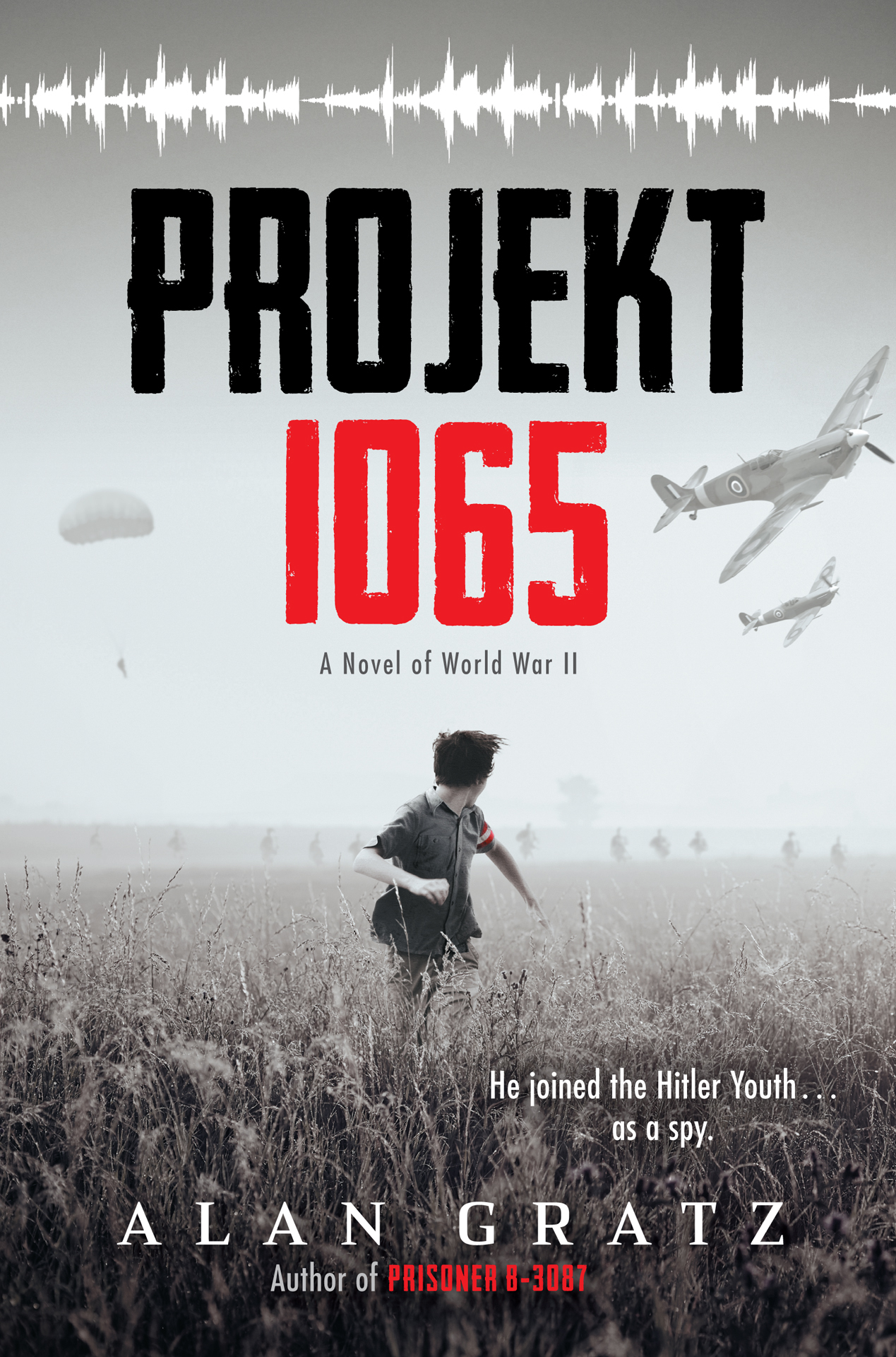 Projekt 1065