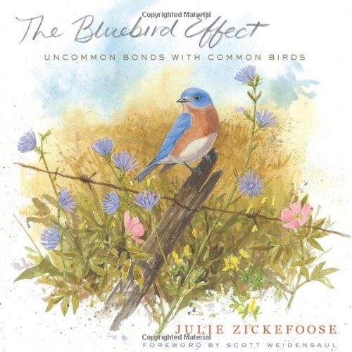 The Bluebird Effect