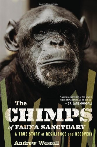 The Chimps of Fauna Sanctuary