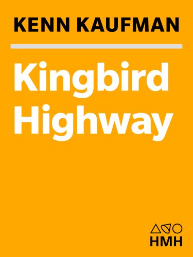 Kingbird Highway