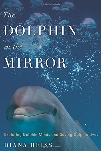 The Dolphin in the Mirror