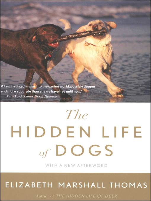 The Hidden Life of Dogs