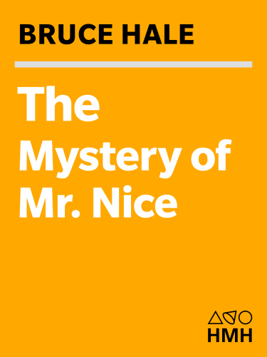 The Mystery of Mr. Nice