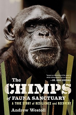 The Chimps of Fauna Sanctuary