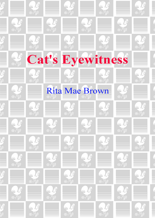 Cat's Eyewitness