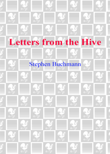 Letters from the Hive