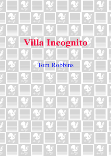 Villa Incognito