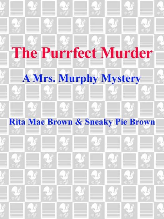 The Purrfect Murder