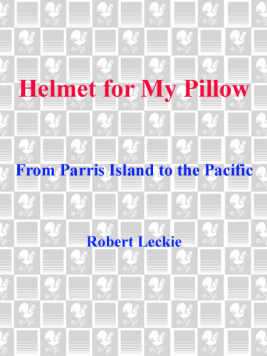 Helmet for My Pillow