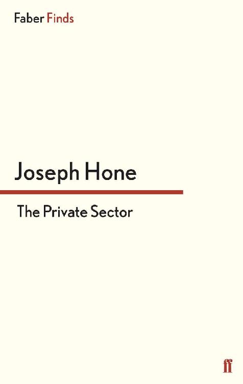 The Private Sector