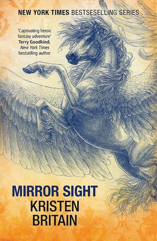 Mirror Sight