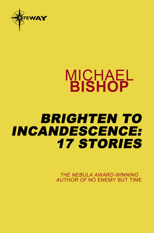 Brighten to incandescence : 17 stories